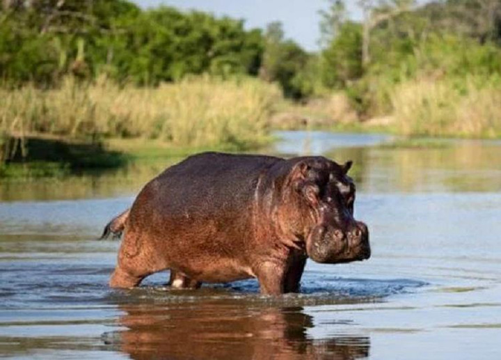 Đây là tỉnh nào ở Việt Nam? - 1