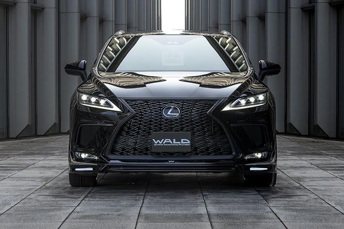Bản độ thể thao của Lexus RX F Sport - 9