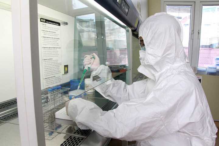 Biến thể BA.2.75 của Omicron xuất hiện tại Việt Nam - 1