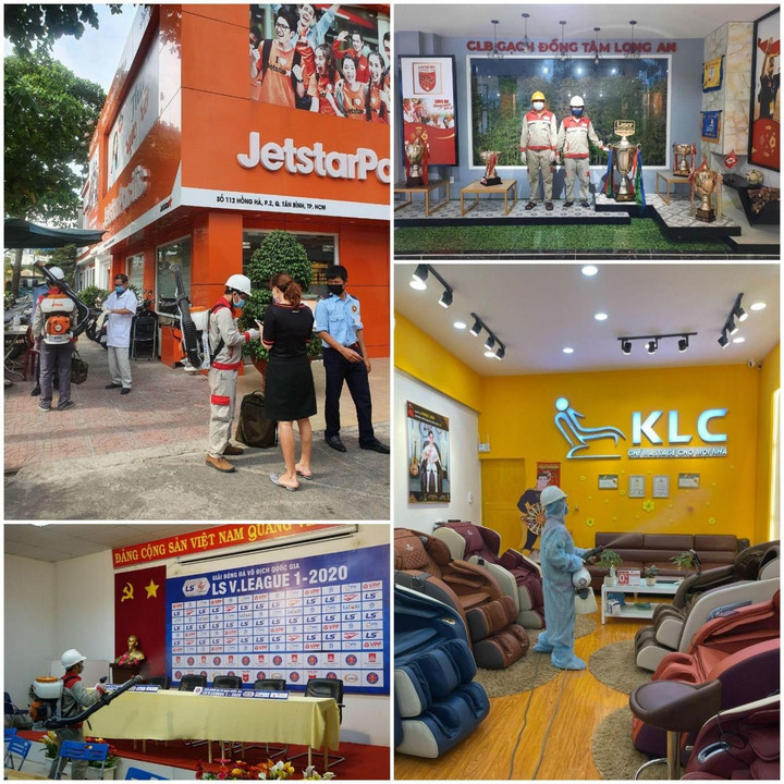 Diệt mối Thái Dương: Công ty diệt côn trùng uy tín tại TP.HCM - 2