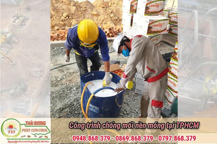 Diệt mối Thái Dương: Công ty diệt côn trùng uy tín tại TP.HCM - 4