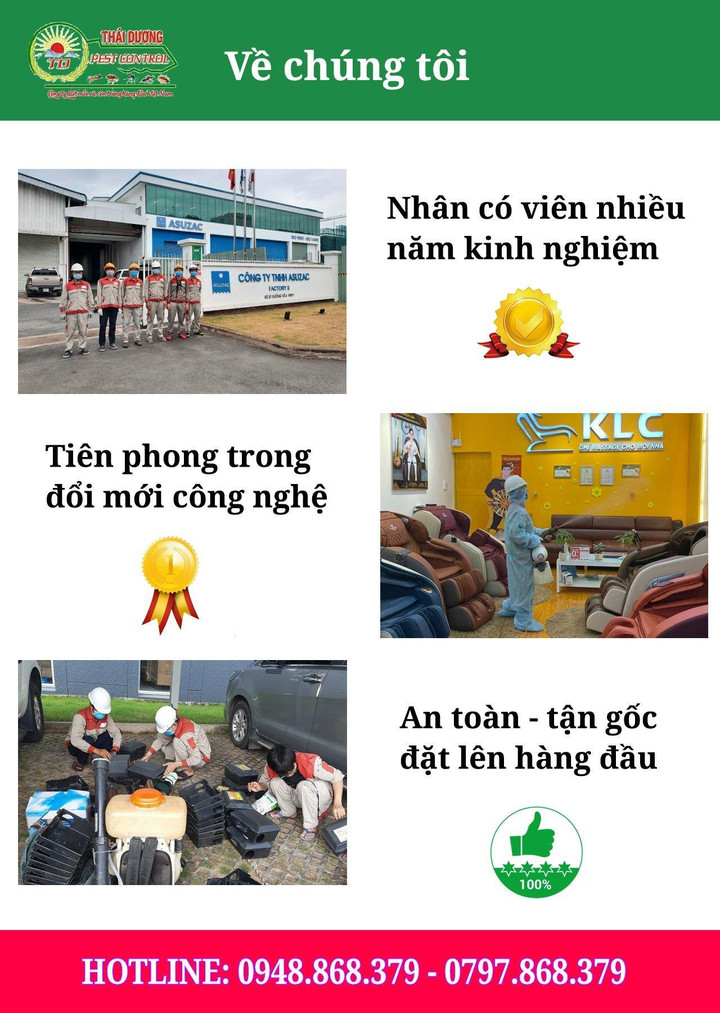 Diệt mối Thái Dương: Công ty diệt côn trùng uy tín tại TP.HCM - 5