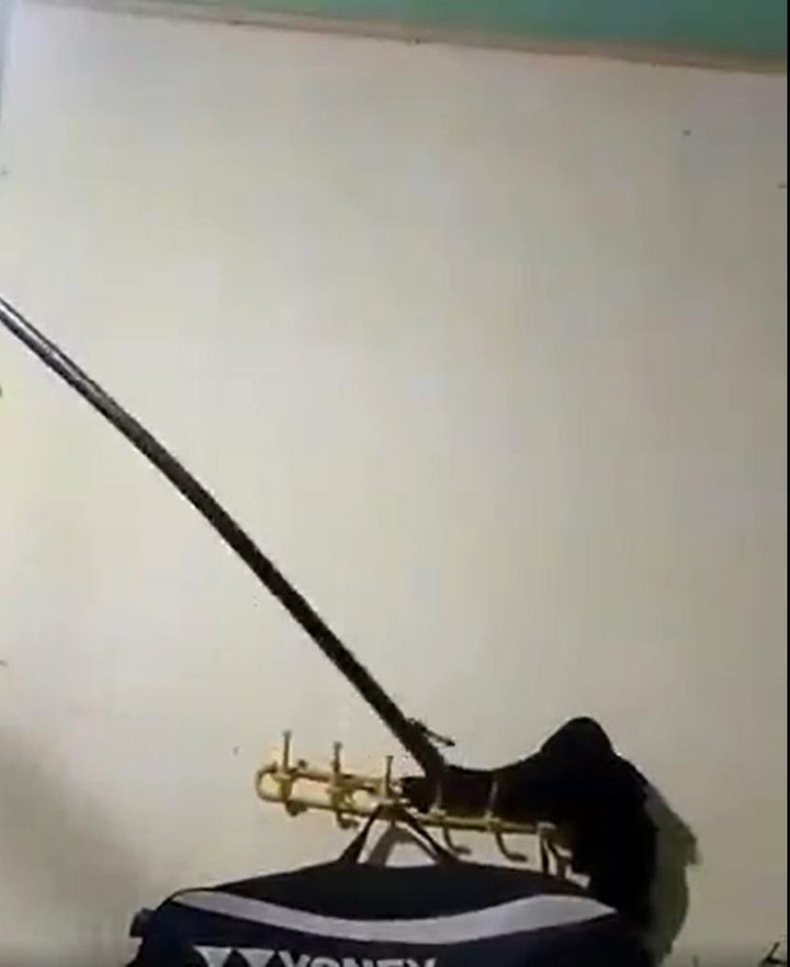 Mở đèn suốt đêm để ngủ, nửa khuya giật mình tỉnh dậy phát hiện ‘cảnh tượng lạ’ - 2