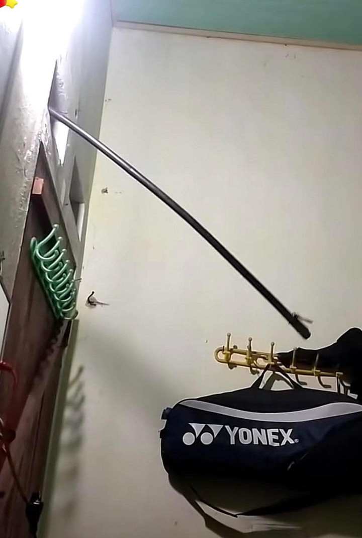 Mở đèn suốt đêm để ngủ, nửa khuya giật mình tỉnh dậy phát hiện ‘cảnh tượng lạ’ - 1