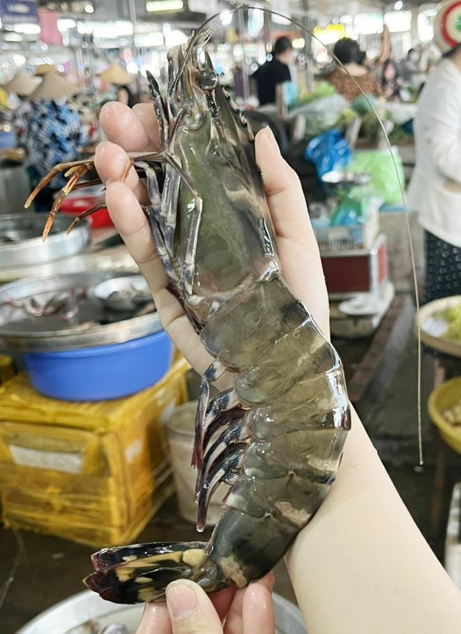 Tôm sú khổng lồ giá 650.000 đồng/kg - 1