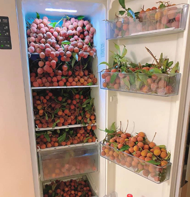 Choáng với thứ được nhồi nhét bên trong những chiếc tủ lạnh 'bất ổn' - 4