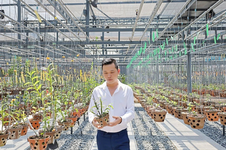 Thành công đến từ tình yêu đặc biệt dành cho hoa lan - 2