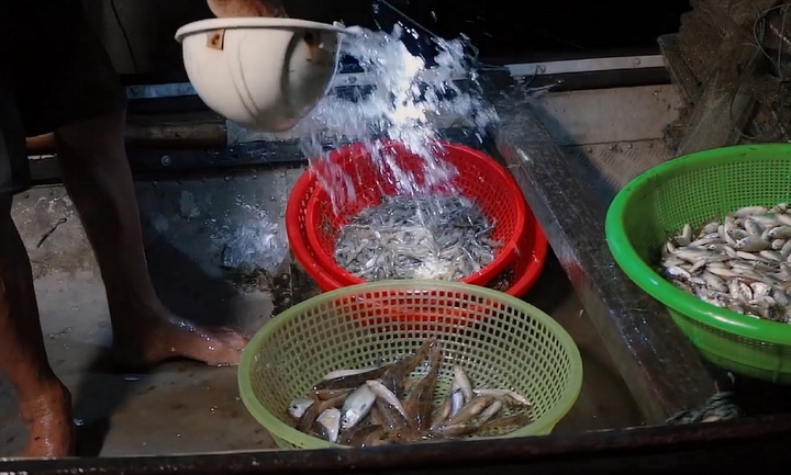 Chợ nổi trên phá Tam Giang - 5