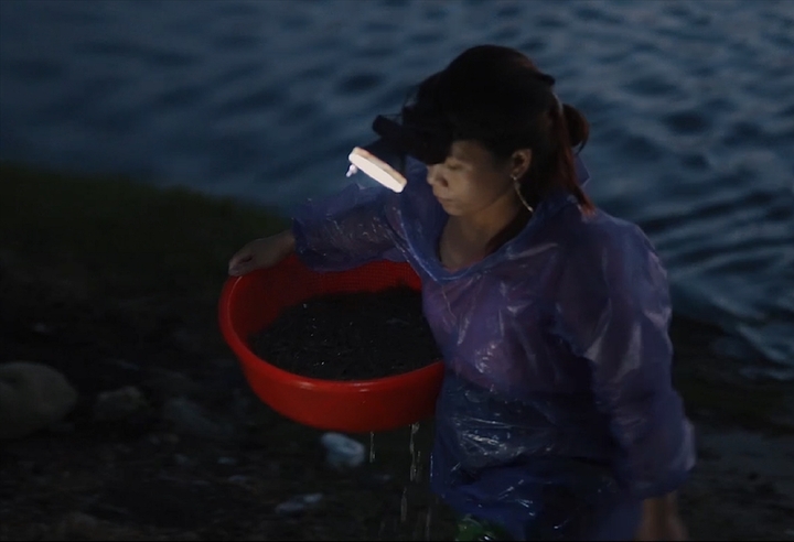 Chợ nổi trên phá Tam Giang - 2