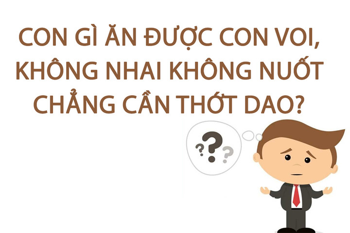 Con gì ăn được con voi, không nhai không nuốt chẳng cần thớt dao? - 1
