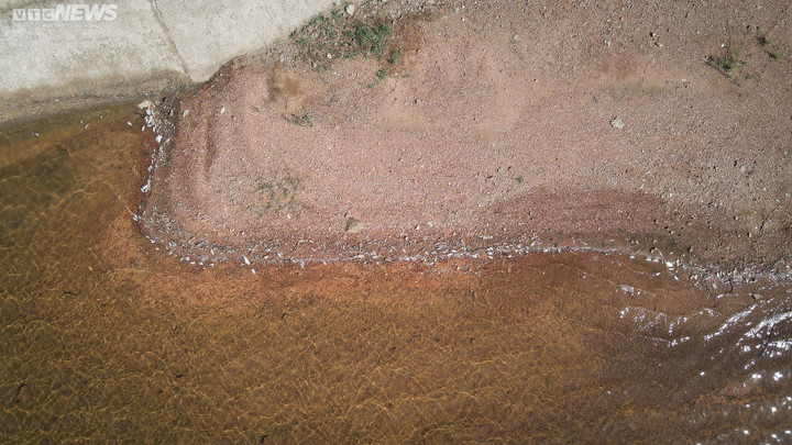 Cá chết hàng loạt, bốc mùi hôi thối tại hồ cấp nước cho TP Hà Tĩnh - 5