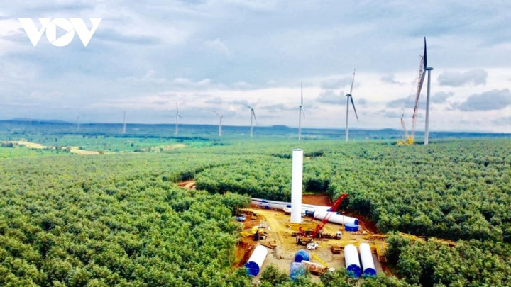 Làm tắt, lách luật, điện gió thành công mà đau đớn - 1