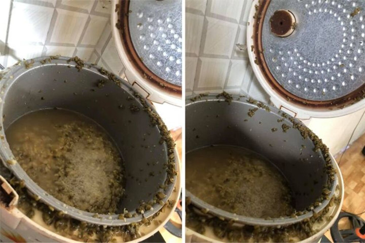 Những chiếc nồi cơm 'bất ổn', đi khắp thế gian không đâu tìm được cái thứ 2 - 11