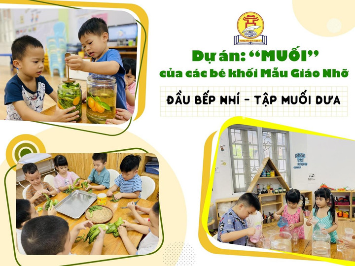 Áp dụng giáo dục STEAM tại trường mầm non Lý Thái Tổ 2 - 6