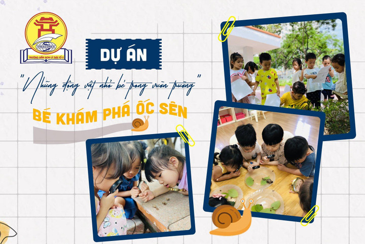 Áp dụng giáo dục STEAM tại trường mầm non Lý Thái Tổ 2 - 7