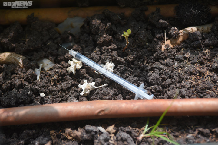 Nhan nhản bơm kim tiêm trên cầu bộ hành tại TP.HCM, người đi đường lo sợ - 6