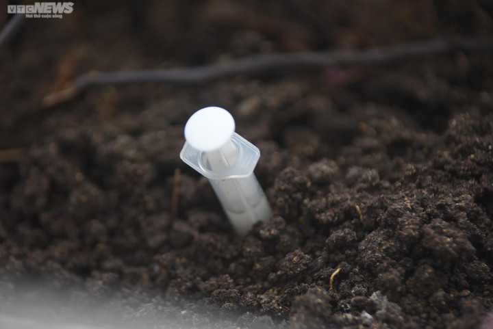 Nhan nhản bơm kim tiêm trên cầu bộ hành tại TP.HCM, người đi đường lo sợ - 5