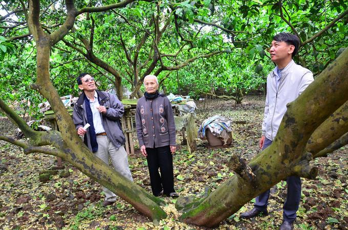 Có một xứ Đoài giàu có khác - 4