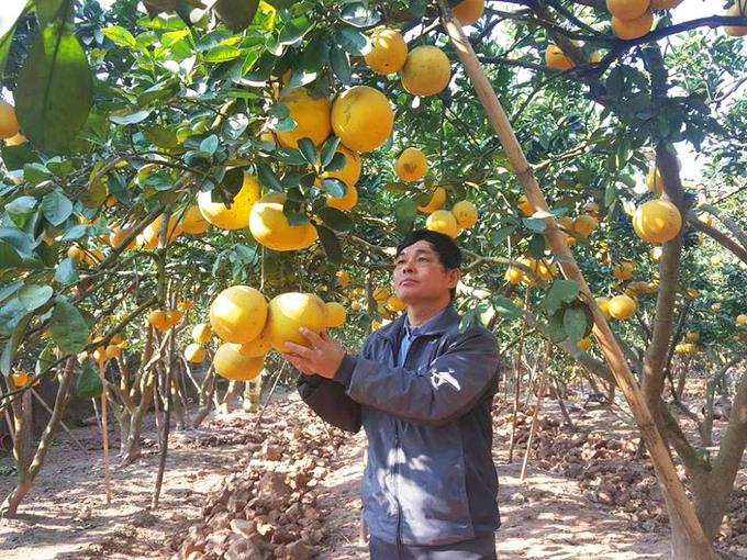 Có một xứ Đoài giàu có khác - 5