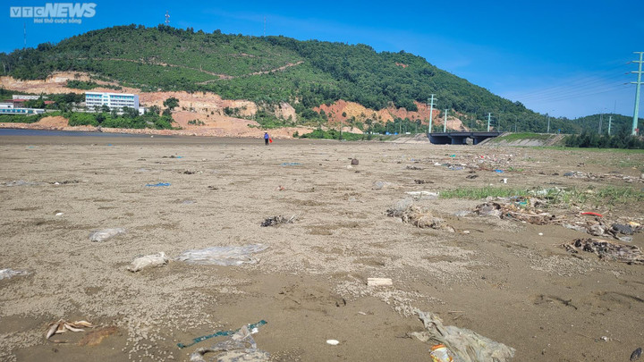 Ảnh: Rác thải tràn ngập nhiều bãi biển ở Nghệ An, Thanh Hoá - 6