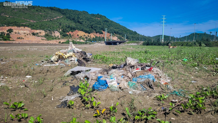 Ảnh: Rác thải tràn ngập nhiều bãi biển ở Nghệ An, Thanh Hoá - 8