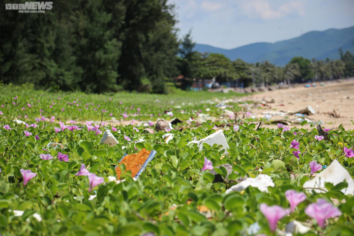 Ảnh: Rác thải tràn ngập nhiều bãi biển ở Nghệ An, Thanh Hoá - 4