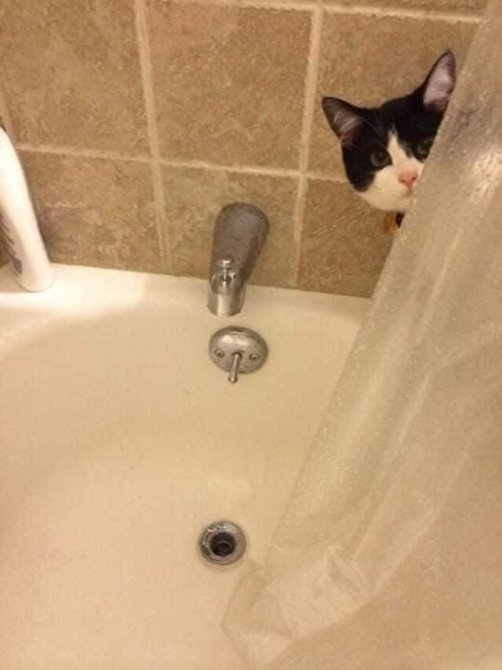 Bắt quả tang những 'kẻ rình mò' phòng tắm cực manh động nhưng không ai nỡ bắt - 8