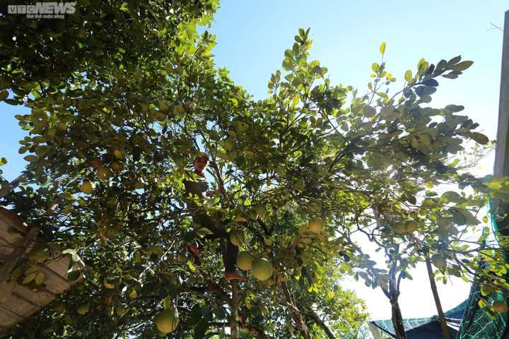 Ảnh: Mục sở thị dân cố đô Huế bán buôn sản vật tiến vua lúc nửa đêm - 5