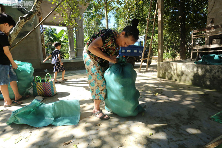 Ảnh: Mục sở thị dân cố đô Huế bán buôn sản vật tiến vua lúc nửa đêm - 7