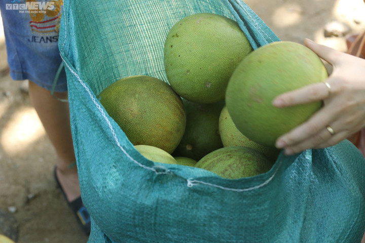 Ảnh: Mục sở thị dân cố đô Huế bán buôn sản vật tiến vua lúc nửa đêm - 2