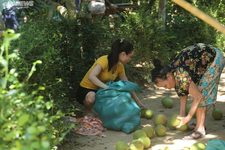 Ảnh: Mục sở thị dân cố đô Huế bán buôn sản vật tiến vua lúc nửa đêm - 4