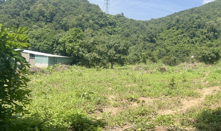 Bà Rịa - Vũng Tàu: Vì sao quyền sử dụng, chuyển nhượng đất của dân bị hạn chế? - 2
