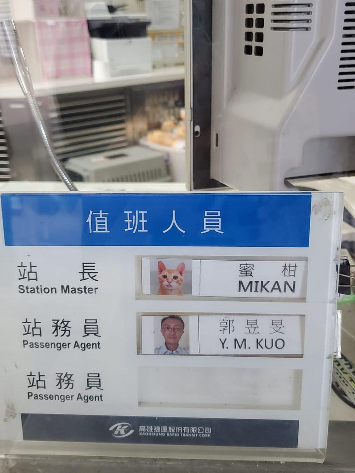 Gặp gỡ chú mèo giữ chức trưởng ga tàu điện ngầm với thần thái cực oách - 3