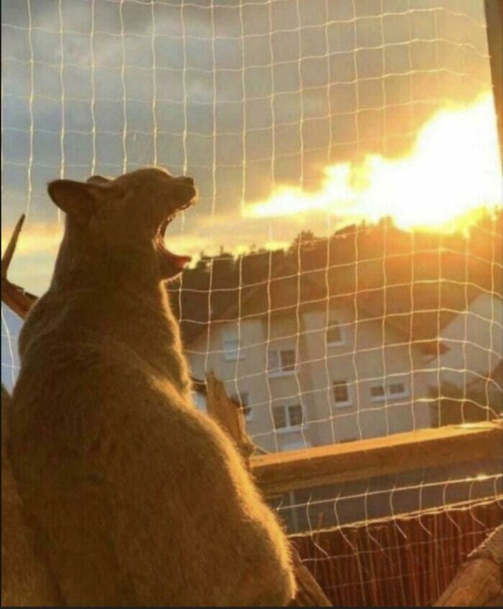 Những bức ảnh gây hiểu lầm cực mạnh, phải tỉnh táo lắm mới không bị lừa - 3