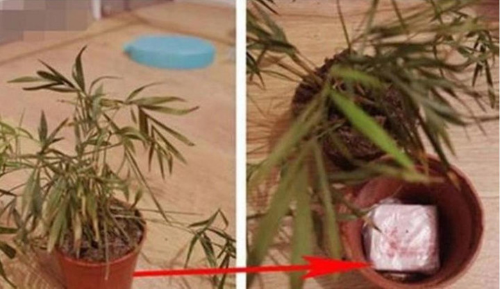 Những chiêu giấu quỹ đen 'out trình' khiến các chị vợ phải lắc đầu chào thua - 8