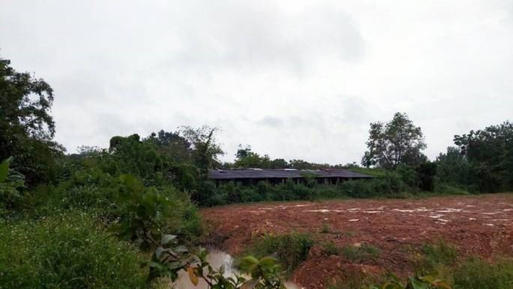 Phát hiện thi thể nam thanh niên trong lò mổ heo - 1