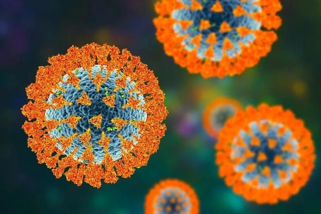 Các biến chủng SARS-CoV-2 tiến hóa, khả năng lây nhiễm nhanh hơn - 1