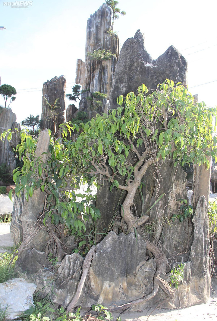 Ảnh: Những tuyệt phẩm bằng đá giá hàng trăm triệu đồng - 5