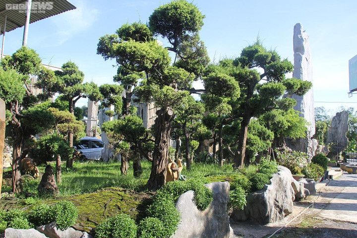 Ảnh: Những tuyệt phẩm bằng đá giá hàng trăm triệu đồng - 15