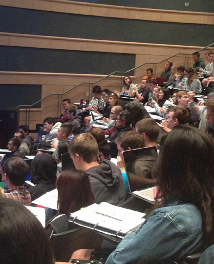 Bạn có tìm ra thứ gì kỳ lạ xuất hiện trên giảng đường? - 1