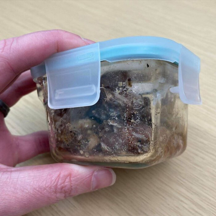 Những bức ảnh 'phát ra tiếng thét', nhìn thôi đã thấy bất lực - 4