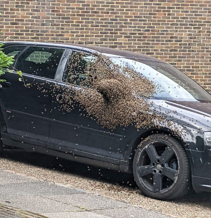 Thót tim với loạt tình huống 'của đi thay người' khiến 'ông bà gánh còng lưng' - 3