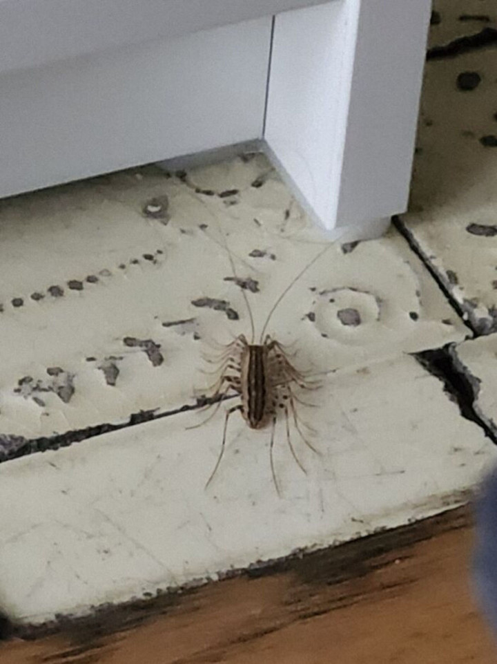 Những bức ảnh 'phát ra tiếng thét', nhìn thôi đã thấy bất lực - 1