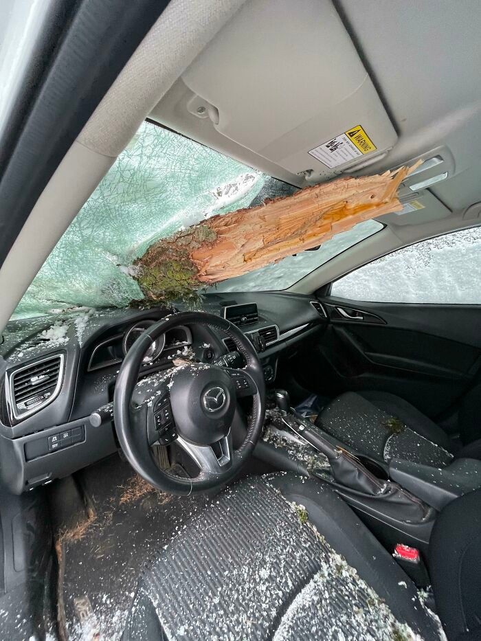 Thót tim với loạt tình huống 'của đi thay người' khiến 'ông bà gánh còng lưng' - 1