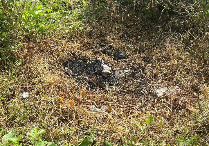 Thi thể trẻ sơ sinh bị đốt cháy trong bụi cỏ gần bệnh viện - 2