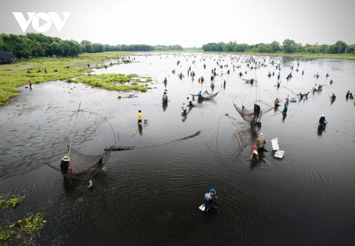 Người dân nô nức trẩy hội 'phá trằm' bắt cá sau 2 năm gián đoạn do dịch bệnh - 12