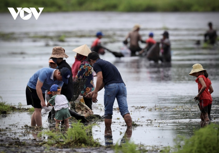 Người dân nô nức trẩy hội 'phá trằm' bắt cá sau 2 năm gián đoạn do dịch bệnh - 14