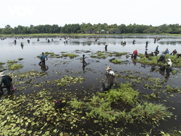 Người dân nô nức trẩy hội 'phá trằm' bắt cá sau 2 năm gián đoạn do dịch bệnh - 18