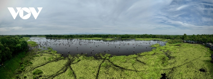 Người dân nô nức trẩy hội 'phá trằm' bắt cá sau 2 năm gián đoạn do dịch bệnh - 21