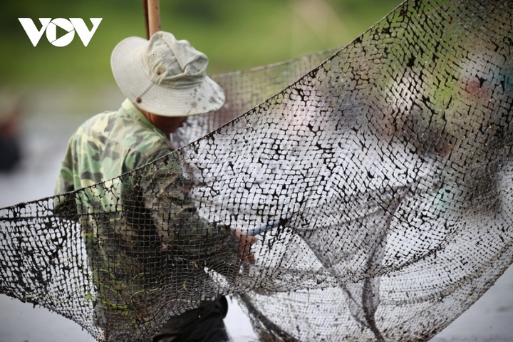 Người dân nô nức trẩy hội 'phá trằm' bắt cá sau 2 năm gián đoạn do dịch bệnh - 7